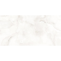 Керамогранит Evolution Ceramic Porcelain Florida Onyx Silver 60x120
