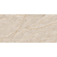 Керамогранит Evolution Ceramic Porcelain Fuji Sand Carving 60x120
