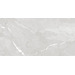 Керамогранит Evolution Ceramic Porcelain Hawk Silver Carving 60x120