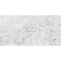 Керамогранит Evolution Ceramic Porcelain Invisible Grey 60x120