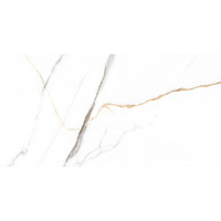 Керамогранит Evolution Ceramic Porcelain Statuario Venato 60x120