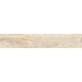 1708 Cream Divaya 20x120