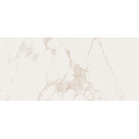 Керамика Fap Roma Diamond Calacatta Brill 50x120