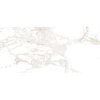 Керамика Fap Roma Calacatta 50x120