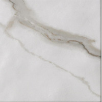 Керамогранит Fap Roma Calacatta 20x20