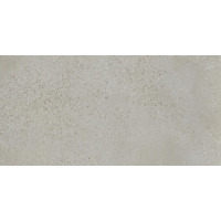 Керамогранит Fioranese I Cocci Cenere 30x60
