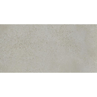 Керамогранит Fioranese I Cocci Cenere 60x120