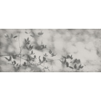 Керамогранит Flaviker Art Walls Shadow Nat 60x120
