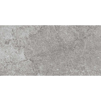 Керамогранит Flaviker Forward Grey Rt 40x80