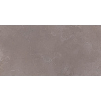 Керамогранит Flaviker No W Earth Rett 40x80
