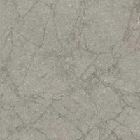 Керамогранит Flaviker Supreme Memories Grey Soap Ant 120x120