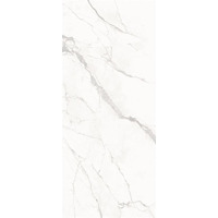 Керамогранит Florina Ceramics Slab Calacatta Honed 120x278