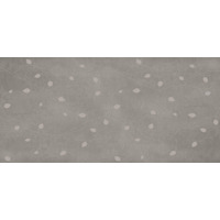 Керамогранит Gigacer Concrete Signs Iron Buds 6 mm 120x250