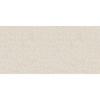 Керамогранит Gigacer Inclusioni Classico Avorio Levigato Through Body 120x250