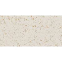 Керамогранит Gigacer Inclusioni Classico Avorio Mat 30x60