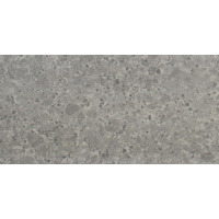 Керамогранит Gigacer Inclusioni Soave Cenere Mat 30x60