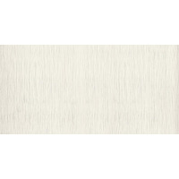 Керамогранит Gigacer Light Rigato 60x120
