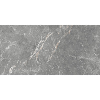 Керамика GT99VG Плитка облиц. Capella GT Сер. 50*25 _ 1 74,25
