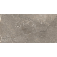 Керамика GT122VG Плитка облиц. Siluet GT Кор. 50*25 _ 1 74,25