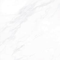 Керамогранит Гранитея Payer Elegant MR 60x60