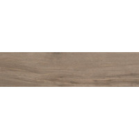 Керамогранит Graniti Fiandre Bois Urbain Terre 22.5x90
