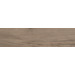 Керамогранит Graniti Fiandre Bois Urbain Terre 22.5x90