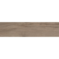 Керамогранит Graniti Fiandre Bois Urbain Terre Strutturato 22.5x90