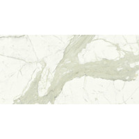 Керамогранит Graniti Fiandre Marble Active Calacatta 60x120