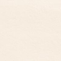 Керамогранит Graniti Fiandre New Ground White Honed 60x60