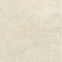 Керамогранит Graniti Fiandre Pietre Maximum Luna Limestone Strutturato 100x100