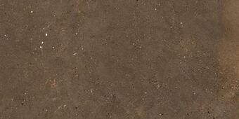 Керамогранит Graniti Fiandre Solida Brown Honed 60x120