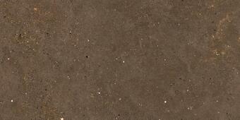 Керамогранит Graniti Fiandre Solida Brown Prelucidato 60x120