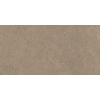 Керамогранит Graniti Fiandre Solida Nut Honed 60x120
