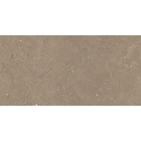 Керамогранит Graniti Fiandre Solida Nut Prelucidato 60x120