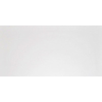 Керамогранит Плитка G-100/MR/300x600x10 (1,08 кв.м.)
