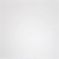Керамогранит Плитка G-100/MR/600x600x 9 (1,80 кв.м.)