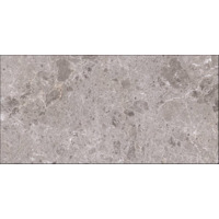 Керамогранит Grespania Artic Gris Pulido 59x119