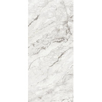 Керамогранит Grespania Camouflage Pulido 120x278