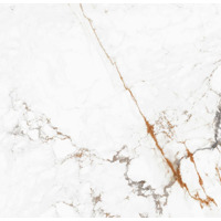 Керамогранит Grespania Capraia Pulido 120x120