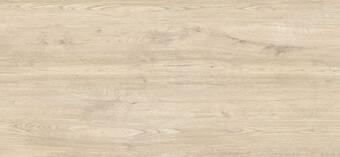 Керамогранит Grespania Jungla Abeto 120x260