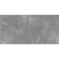 Керамогранит Idalgo Granite Stone Gloria Серый SR 59.9x120