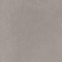 IMOLA CERAMICA BLOX Blox60AgRm Глазурованный керамогранит