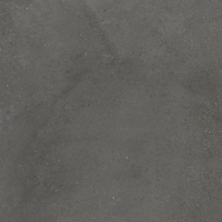 IMOLA CERAMICA BLOX Blox60DgRm Глазурованный керамогранит