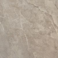 IMOLA CERAMICA Muse Muse60BGPt Неглазурованный керамогранит