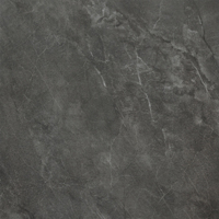 IMOLA CERAMICA Muse Muse60DG Неглазурованный керамогранит