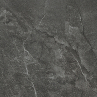 IMOLA CERAMICA Muse Muse60DGLp Неглазурованный керамогранит
