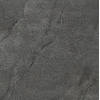 IMOLA CERAMICA Muse Muse60DGPt Неглазурованный керамогранит