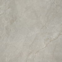 IMOLA CERAMICA Muse Muse60G Неглазурованный керамогранит