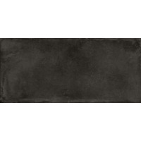 Керамогранит Imola Azuma 260N Rm 120x260