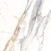 Керамогранит Imola Calacatta Gold 60x60